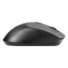 Беспроводная мышь EXEGATE PROFESSIONAL STANDARD BT-070 EX298897RUS